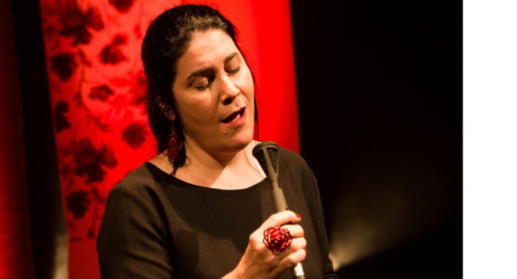 A cantora paulistana Mônica Salmaso volta a mostrar o poderio vocal em BH (Dani Gurgel/Divulgação)